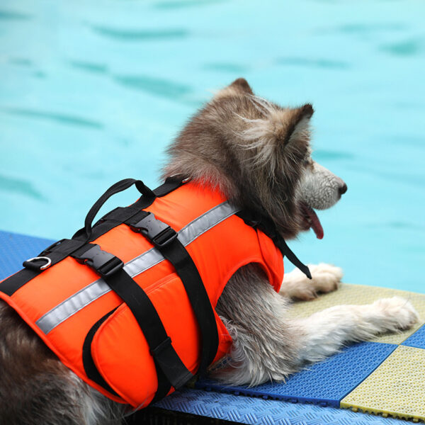 Life-Saving Vest for Dogs - Image 4