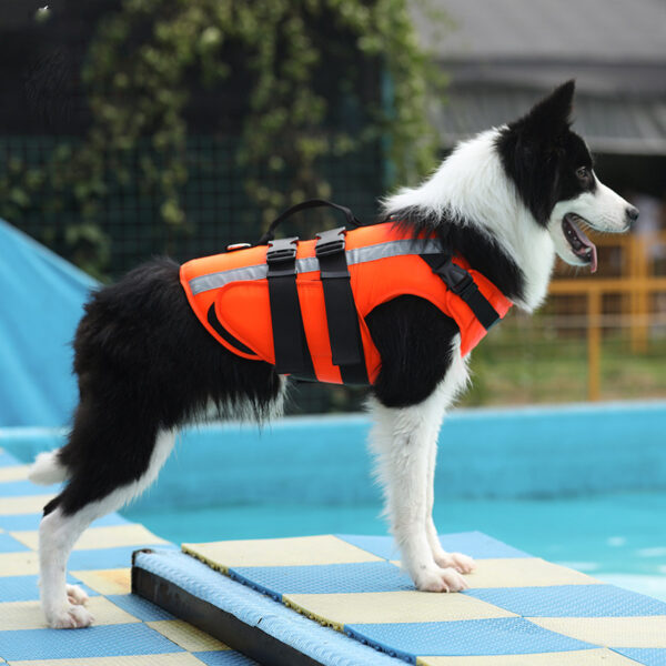 Life-Saving Vest for Dogs - Image 2