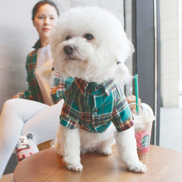 Pet parent plaid shirt - Image 2