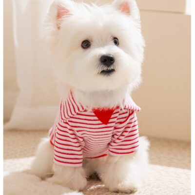 Warm Dog Clothes | for Small & Medium Dogs #25