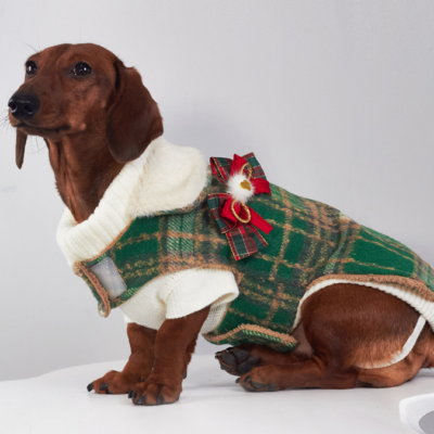 Dog Coat | Christmas #45