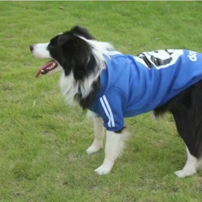 Casual Dog Sweatshirt for Medium and Large Dogs | Comfortable Pet Hoodie