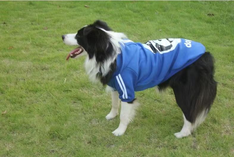 Casual Dog Sweatshirt for Medium and Large Dogs | Comfortable Pet Hoodie