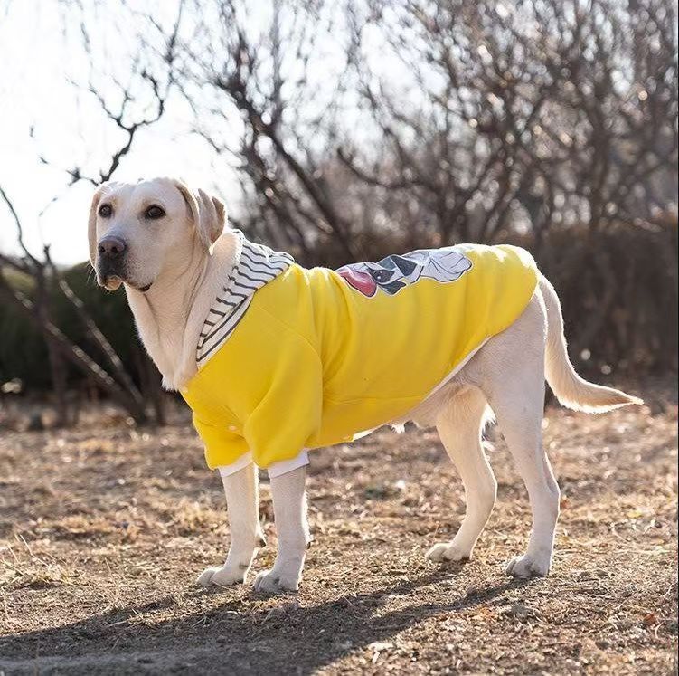 Casual Dog Sweatshirt for Medium and Large Dogs | Comfortable Pet Hoodie - Image 2
