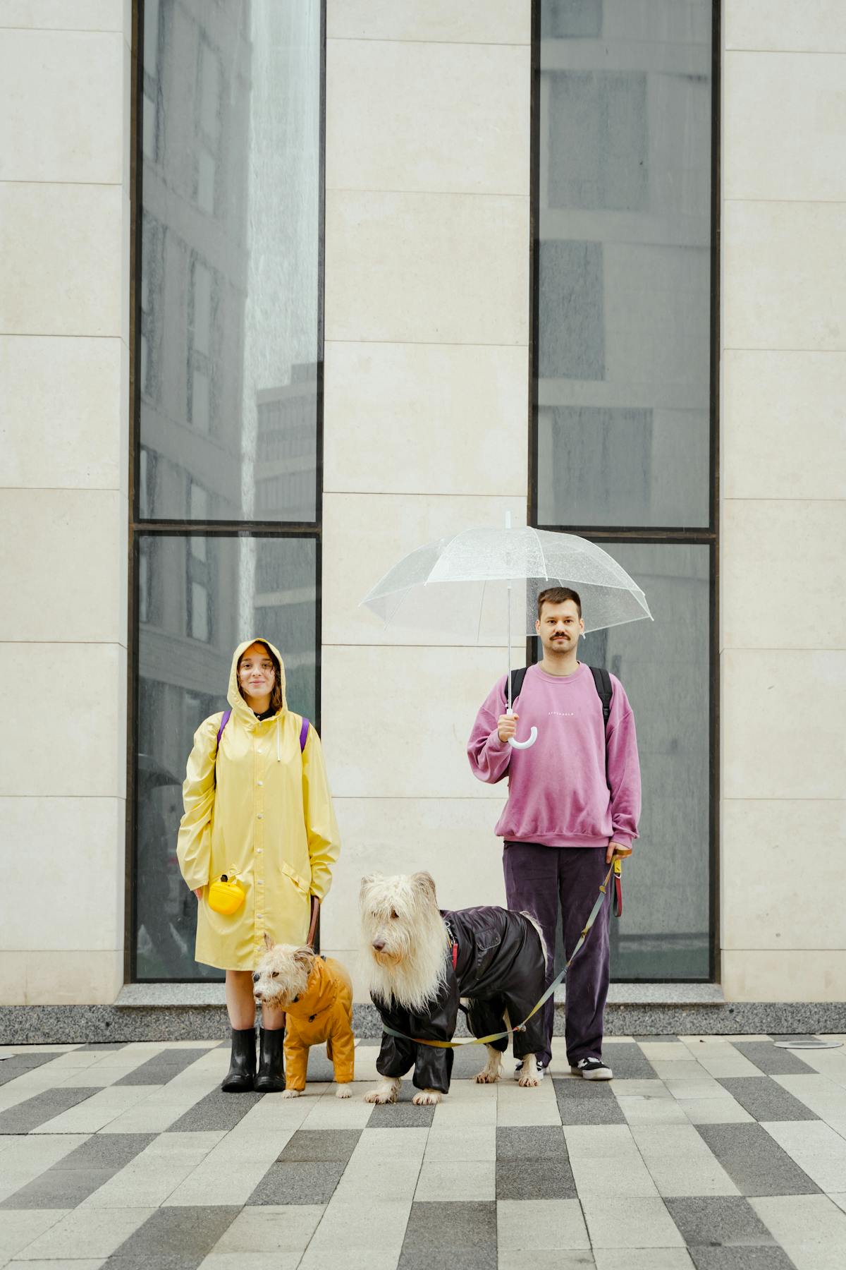 Couple with their dogs all wearing matching raincoats walking together on a rainy day