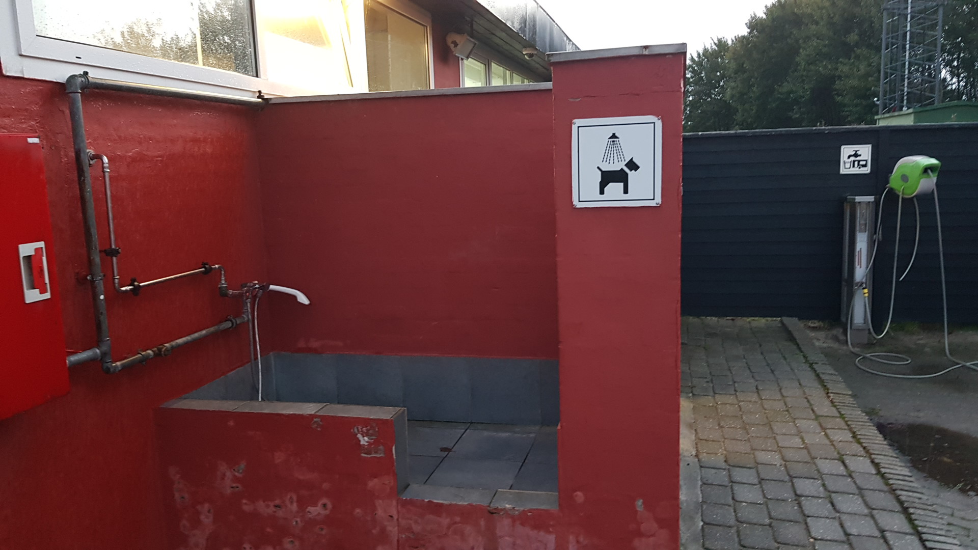 Dog getting a bath outdoors