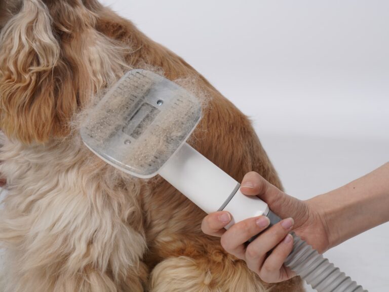 Dog being brushed during spring shedding season