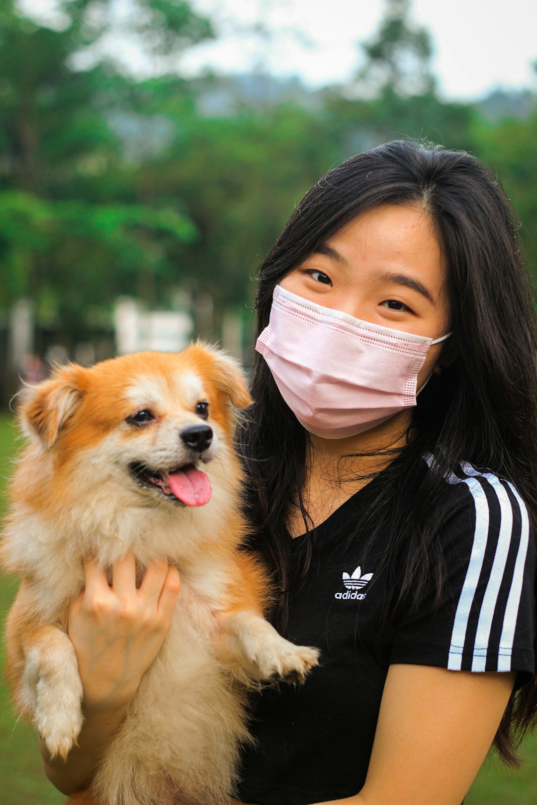 Veterinarian examining a dog with skin allergies for diagnosis and treatment