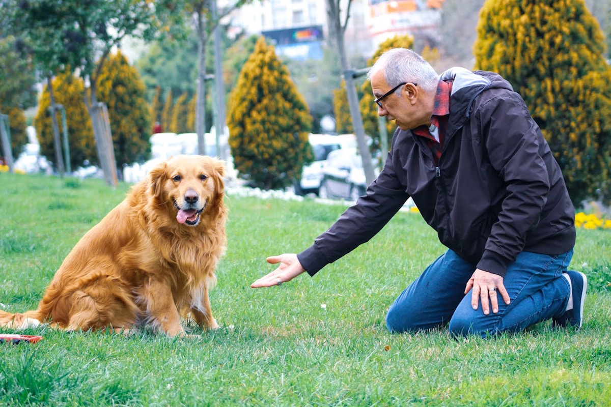 woman sitting with calm golden labrador after successful anxiety training session