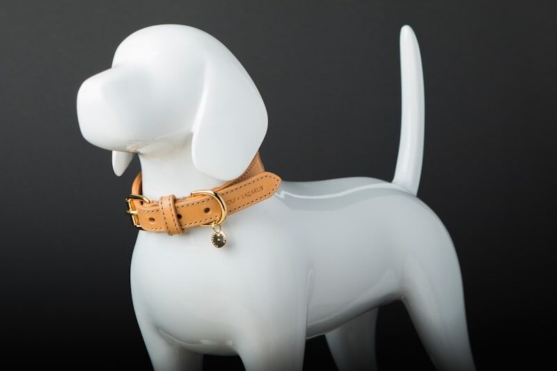 High-quality beige leather dog collar showcasing premium collar materials