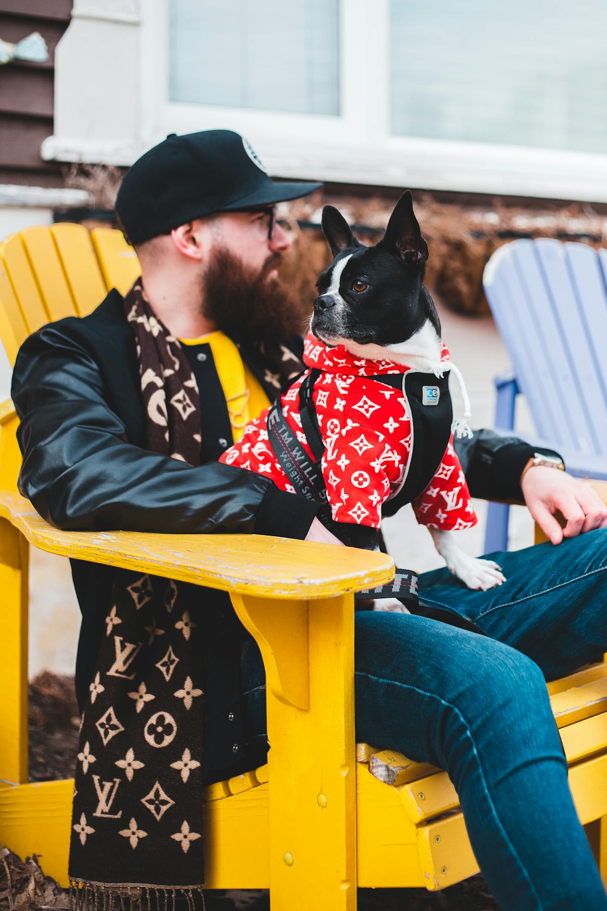 Man and his Boston Terrier in coordinated fashionable outfits sitting together on outdoor steps