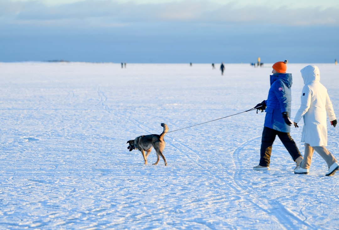 Owner and dog bonding during a spring walk together