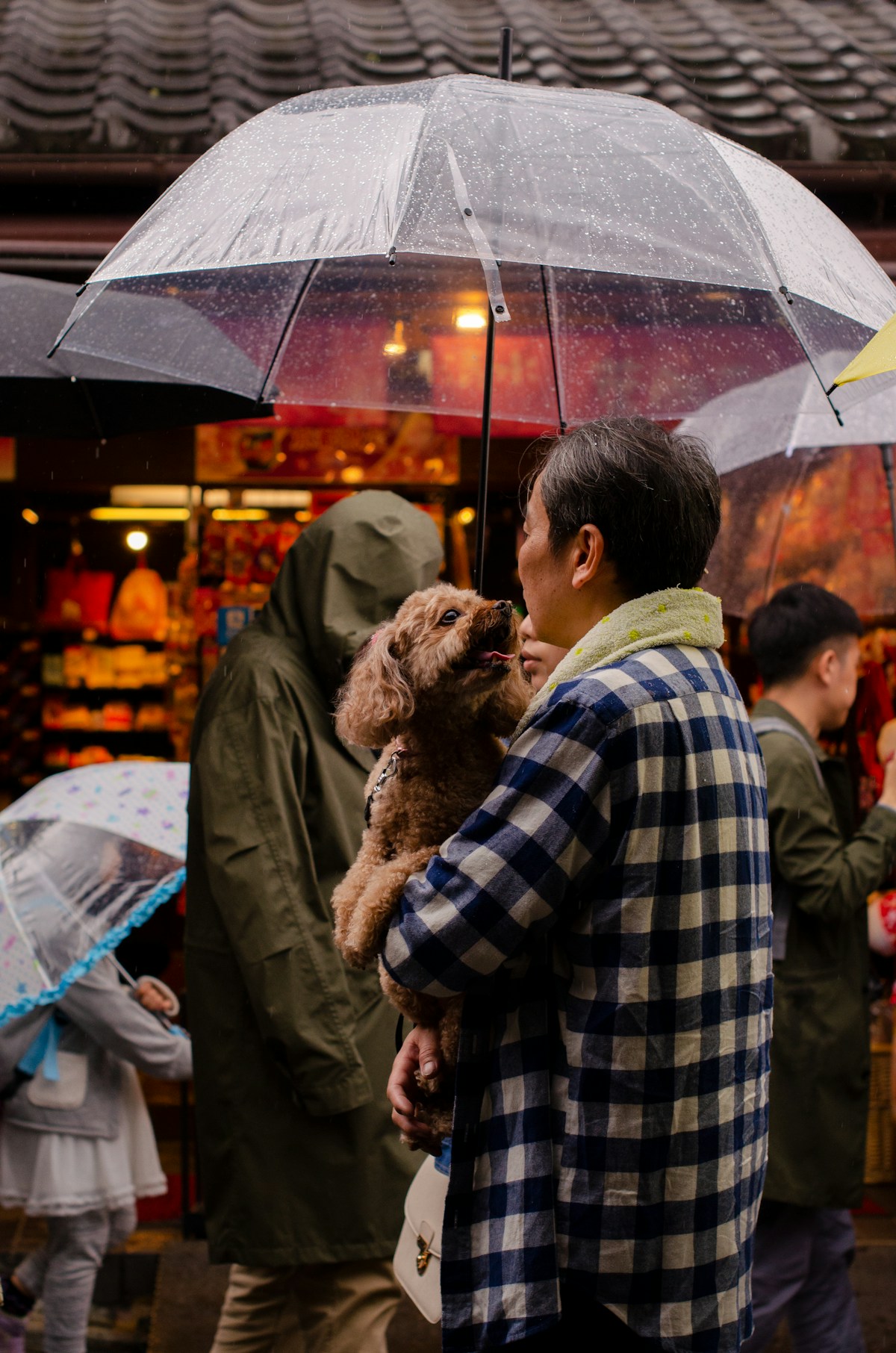 Person holding dog and umbrella during rainy walk showing importance of waterproof dog gear