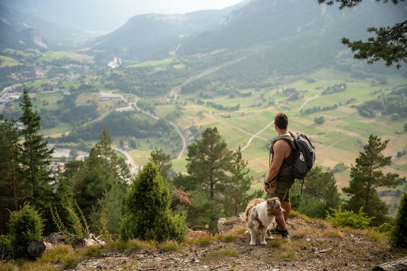 Hiker and dog overlooking mountain valley together