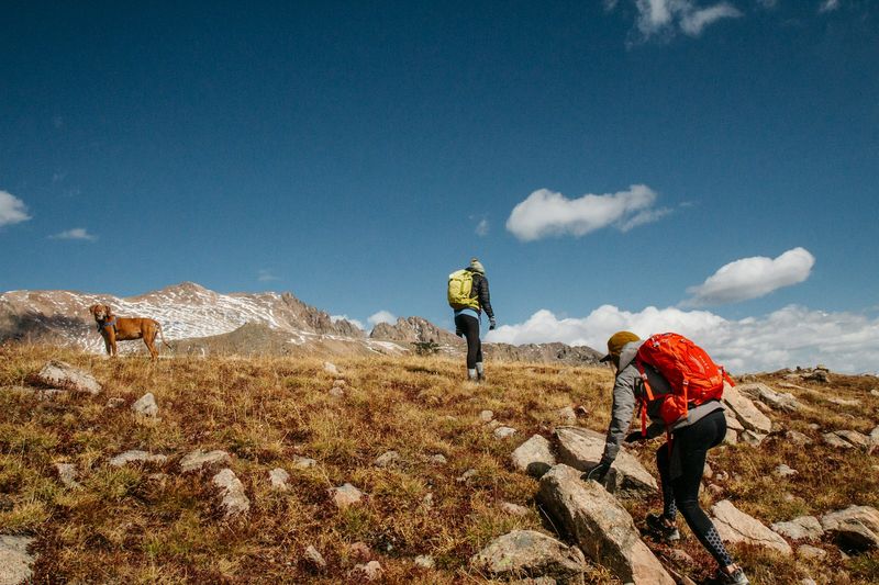 People hiking on mountain trail with dog under blue sky