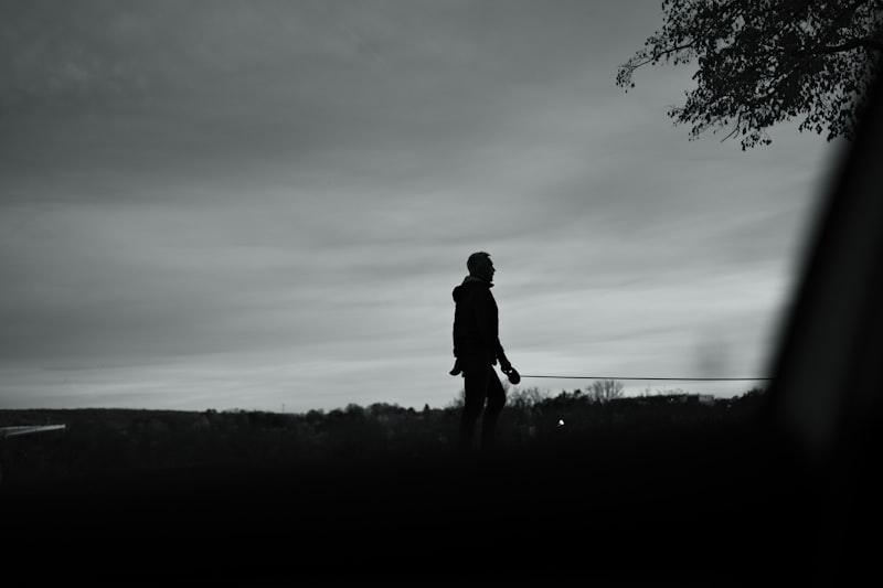 Dog owner walking dog with reflective gear at dusk