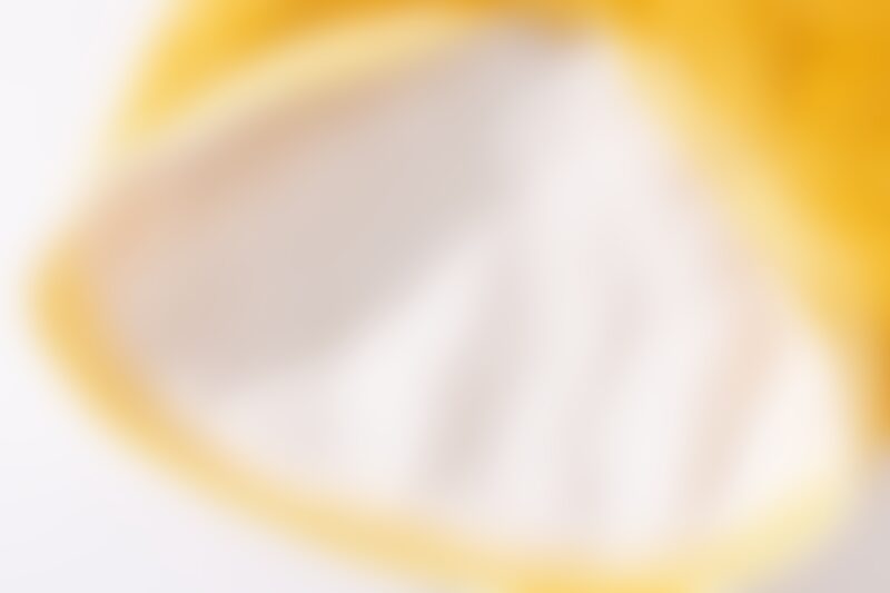 large dog wearing outdoor vest style jacket for colder weather walks