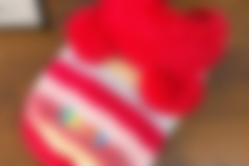 dog vest guide showing fleece lined vest for comfortable daily wear