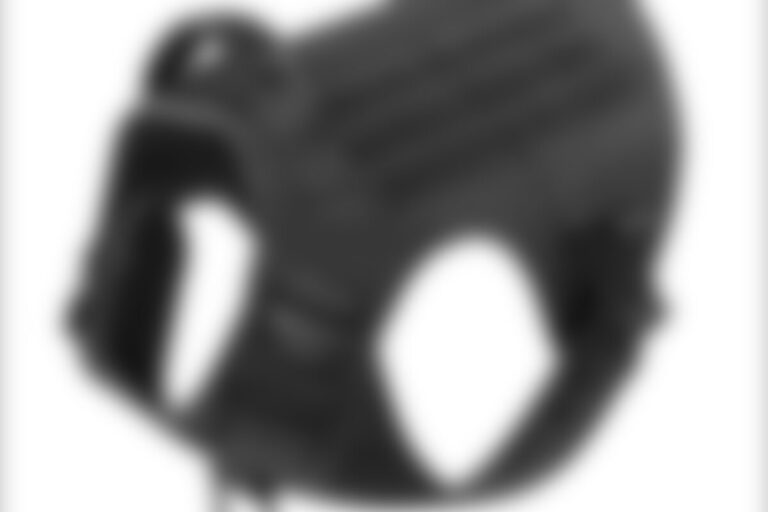 dog vest guide featuring large dog wearing tactical outdoor vest