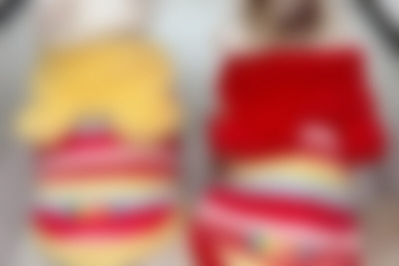 small dog wearing warm fleece dog vest for cool morning walk