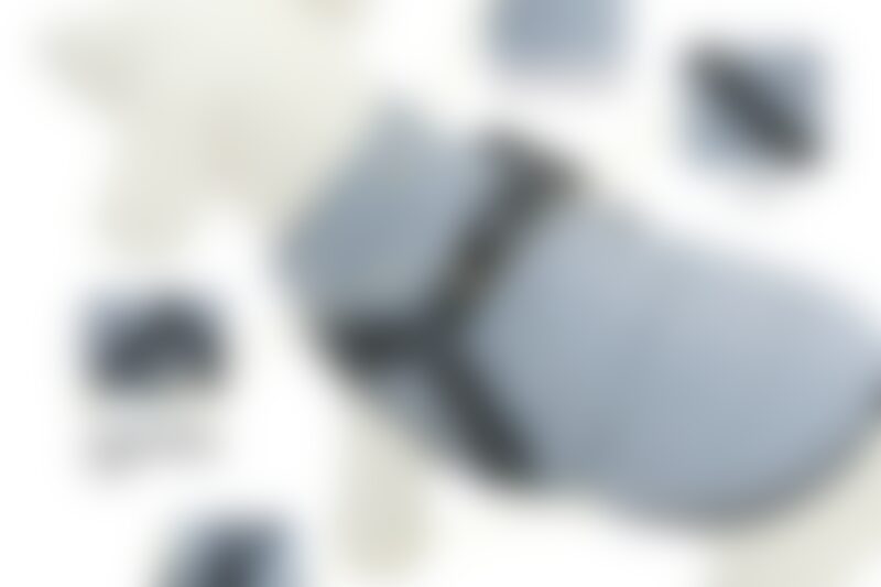 dog wearing insulated dog vest while walking calmly outdoors