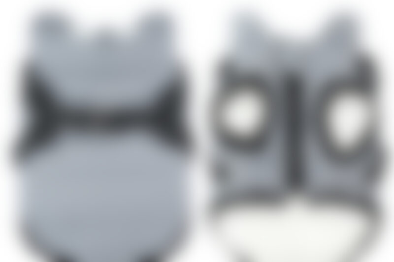 medium dog in soft insulated dog vest during cool weather outing