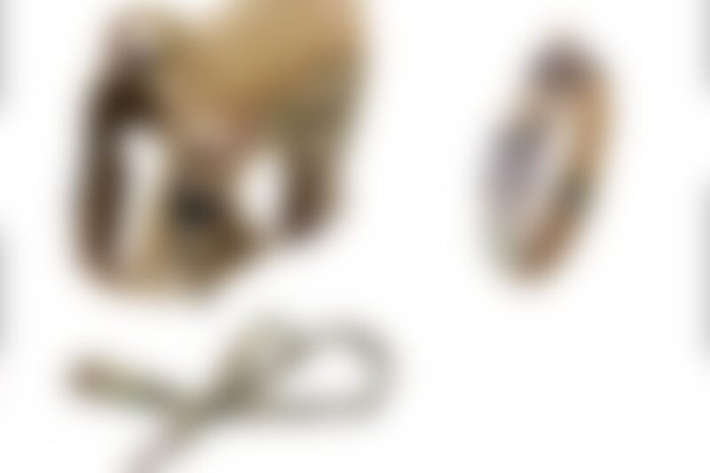 dog vest guide showing large dog wearing tactical vest for outdoor walks