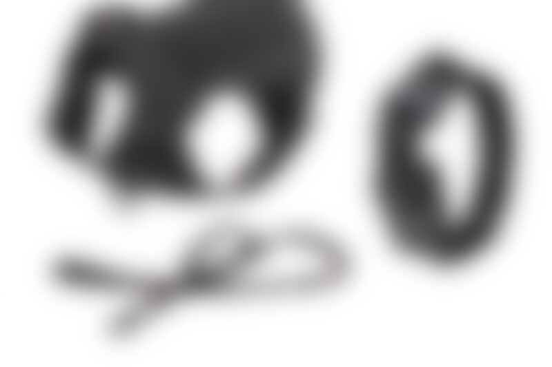 large dog in structured dog vest standing outdoors during training session