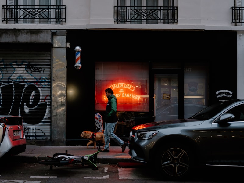 Dog with LED collar walking past city lights at night